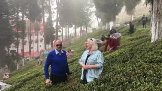 India Darjeeling Video