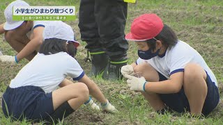 生比奈小学校の児童がひまわり畑づくり【テレビトクシマ】勝浦町