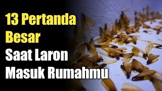 13 Tanda Laron Masuk Rumahmu: Pesan Penting dari Allah yang Harus Kamu Tahu