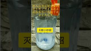 抖音热门|天热了，家里蚊子越来越多怎么办？#戛纳 #施予斐回应蹭戛纳红毯