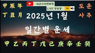 2024년 갑진甲辰년 1월丁丑月 일간별 운세 라이브 \u0026 궁금한점 질문 타임