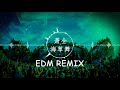 萧全【海草舞】慢摇 edm remix 你我都是这茫茫人海中 渺小不起眼的那一棵草