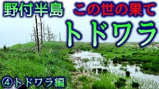 【この世の果て】野付半島#7トドワラ④自然に還るトドワラ編　The end of the world Notsuke Peninsula７