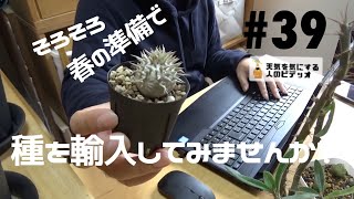 【塊根植物/多肉植物】#39 - そろそろ春の準備で種を輸入してみませんか？【実生】