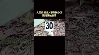 东方航空坠机 China Eastern Airlines Planes Crash