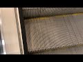 ThyssenKrupp Velino (Up) Escalator at Macy's - Flushing, NY (RT)