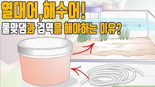 새로운 열대어,해수어 구매 후 왜 물맞댐과 검역을 해야할까요? [애니몰로TV]