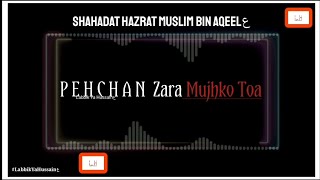 Shahadat Hazrat Muslim Bin Aqeelع | noha status | Muslim Bin Aqeel a.s |by Labbik Ya Hussainع