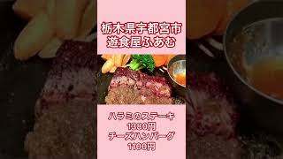 リーズナブルなハラミステーキとチーズハンバーグ【栃木県宇都宮市】遊食屋 ふあむ【栃木グルメ】#shorts