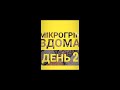 Як виростити мікрозелень на підвіконнику за 7 днів. green cat ферма мікрозелені