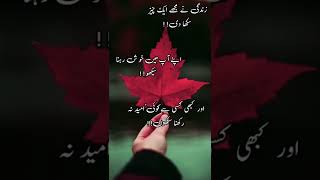 A1 sad status || Best Urdu Poetry WhatsApp Status || Urdu Shayari Status |