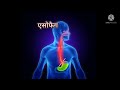 भोजन नली में अल्सर कैसे होता है इसका इलाज क्या है esophageal ulcer in hindi medhealth support