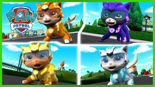 Cat Pack PAW Patrol Rescues 😺- PAW Patrol - Cartoons for Kids Compilation