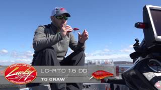 Kentucky Lake: Spring Bass Fishing