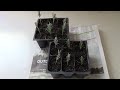 propagate lavender from cuttings everyone can grow a garden 2023 35