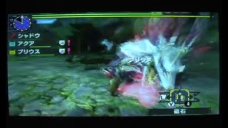 【MHX】村クエ★5　淡紅の泡狐がたゆたうか（タマミツネ）  大剣 5分針