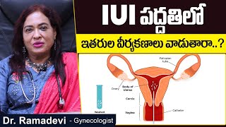 When to Prefer IUI | IUI Treatment Procedure For Pregnancy Telugu | Dr Ramadevi | Socialpost Health