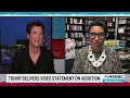 watch rachel maddow highlights april 8