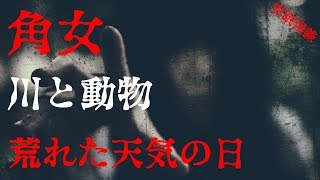 【安眠・怪談】川と動物/角女/荒れた天気の日【都市伝説/怖い話】