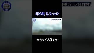 栃木県下野市の「道の駅しもつけ」は最高だった！#道の駅