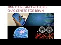 AI in Early Detection and Diagnosis of Acute Stroke (Stephen T. C. Wong)