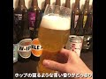 【1日1杯クラフトビール生活】363杯目うしとらブルワリー 三十苦