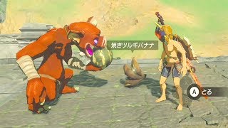 【ブレワイ(BotW)】ボコブリンは焼きリンゴを食べるのかどうか試してみた【ドリカラ】