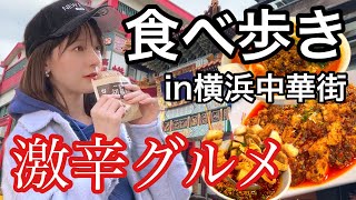 【激辛】横浜中華街でランチ！本格四川料理を食べ尽くす