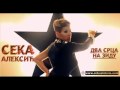 SEKA ALEKSIC 2010- DVA SRCA NA ZIDU