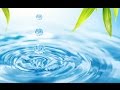 Suono Dell'Acqua Che Scorre Dolce E Rilassante - Fontana Zen - Rilassamento