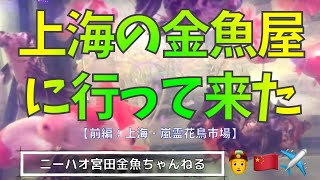 【ニーハオ宮田】金魚ちゃんねる_『上海の金魚屋に行って来た【前編：上海・嵐霊花鳥市場】』