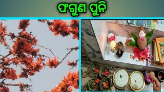 ame fagun puni dina mahapuru thane am palshaful au fagu bhog lagalu