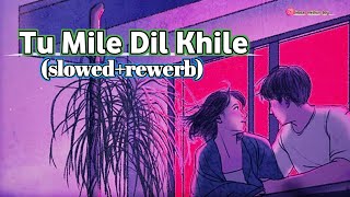 tum mile dil khile (slowed and reverb) | Asees kaur || Stebin Ben || Insta Mithun boy