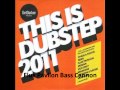 this is dubstep 2011 mega mix