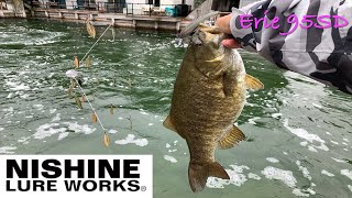 Nishine Lure Works’ Erie 95SD is a great bait to target giant smallmouths in super-clear water.