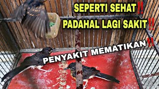 KENALI CIRI-CIRI TROTOL MURAI BATU ANDA SEDANG NYILET‼️