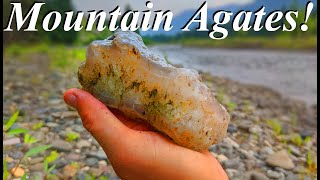 Awesome Seam Agates in the Mountains! Hunting for Fantastic Agates in a High Alpine Stream!