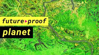 What Will It Actually Take to Save the Planet? 6 Experts Give Their Verdict | LSE Future Proof