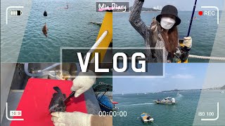 VLOG NO. 37 서해 왜목마을 좌대 낚시 (충남 당진 여행, 왜목 바다낚시, 장고항 배낚시)