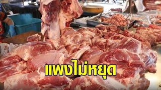 ขึ้นทุกวันพระ! ราคาหมูขยับไม่หยุด - ไก่หน้าฟาร์มปรับอีก - พาณิชย์คาด ก.พ.น้ำมันปาล์มจะถูกลง