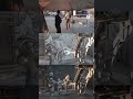 vfx breakdown of my order66 video starwars blender vfx