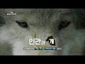 180617 글로벌다큐멘터리 예고 ㅣ kbs방송