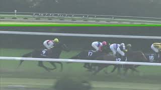 カワカミプリンセス 2008年 第33回エリザベス女王杯(GI) (優勝馬：リトルアマポーラ)