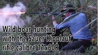 Hunting wild boar with the 19th century 11x60R Sauer & Sohn Kipplauf rifle
