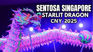 NEW PROGRAMS FOR CNY 2025: STARLIT DRAGON PERFORMANCE, MEET AND GREET GOD OF FORTUNE