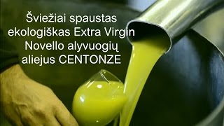 Šviežiai spaustas ekologiškas Extra Virgin Novello alyvuogių aliejus „Centonze“ iš Sicilijos