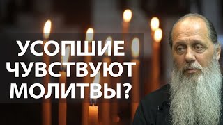 Чувствуют ли души усопших наши молитвы?