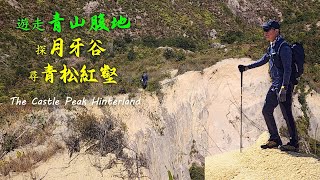 遊走 青山腹地 | 月牙谷 | 青松紅壑 | 望后石頂 | 福地行大運 | Castle Peak Hinterland | Mong Hau Shek Teng | PeakMaster