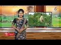 15th april 2022 annadata అన్నదాత full episode etv telugu