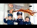 Five Kids Rules of conduct for children + more Children's Videos